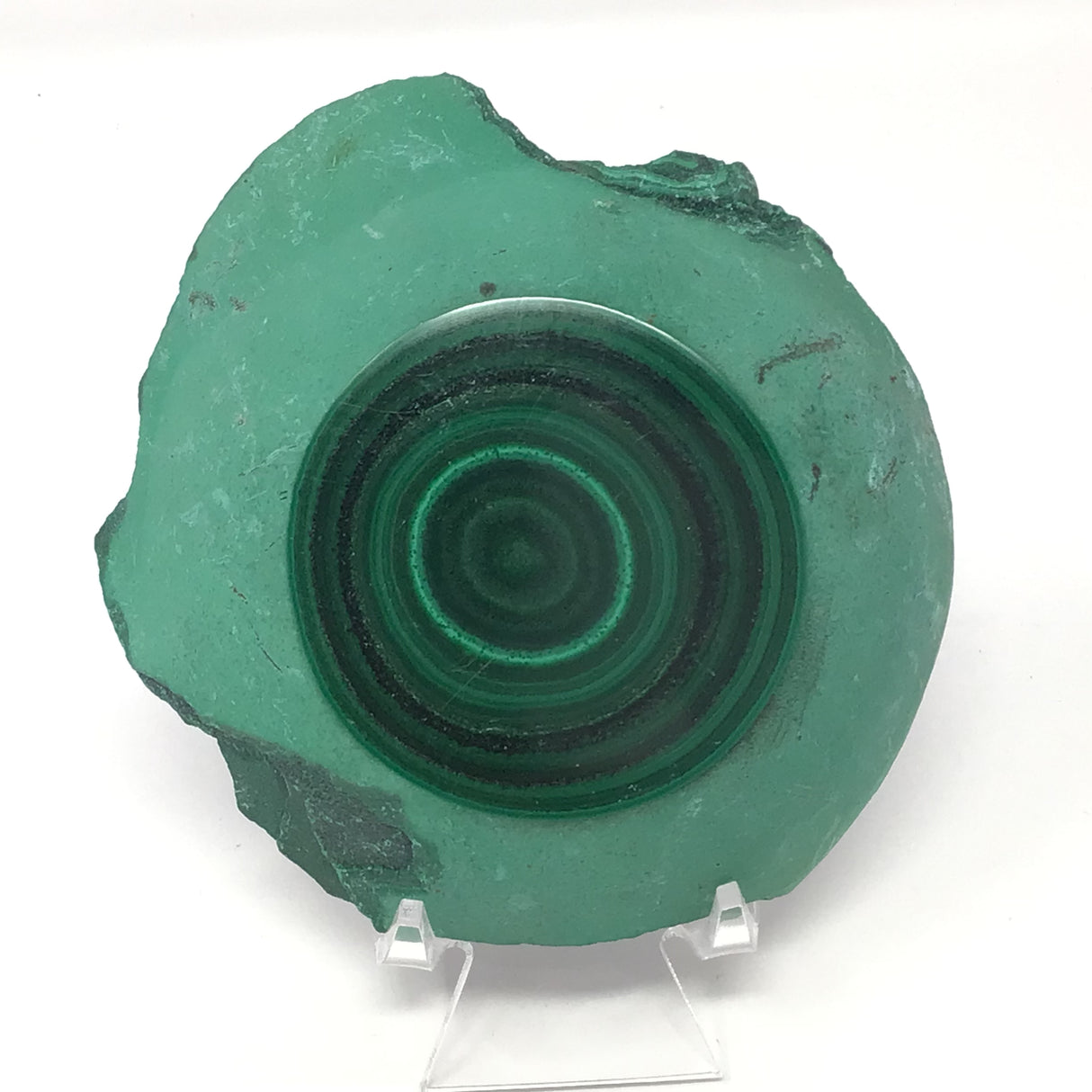Malachite Bulls Eye Slice on Lucite Stand