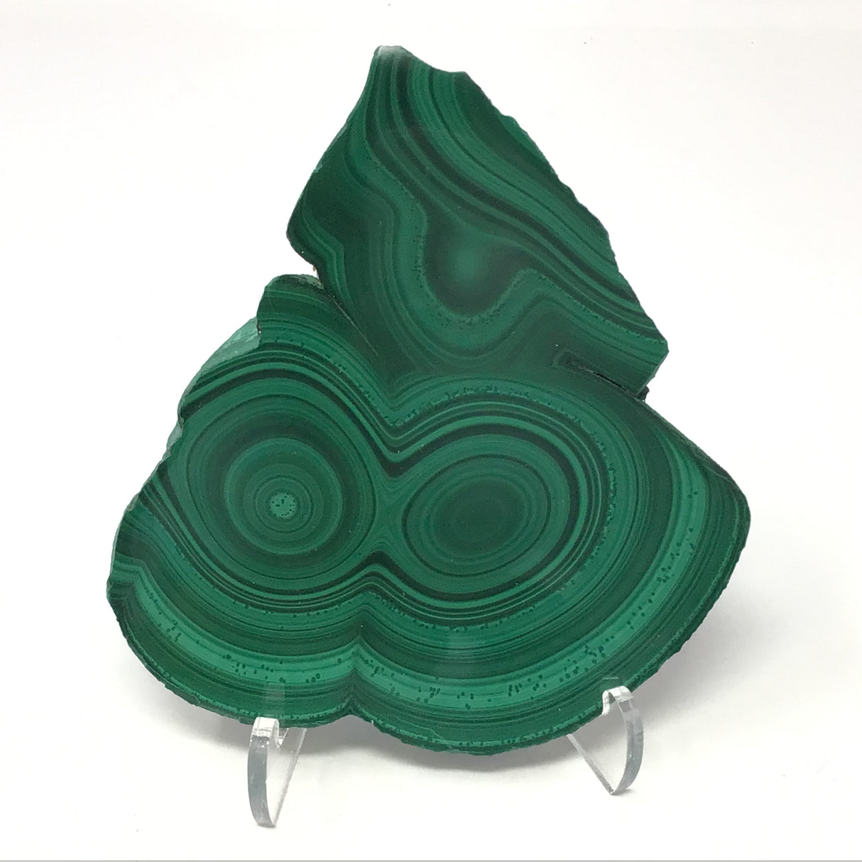 Malachite Bulls Eye Slice on Lucite Stand