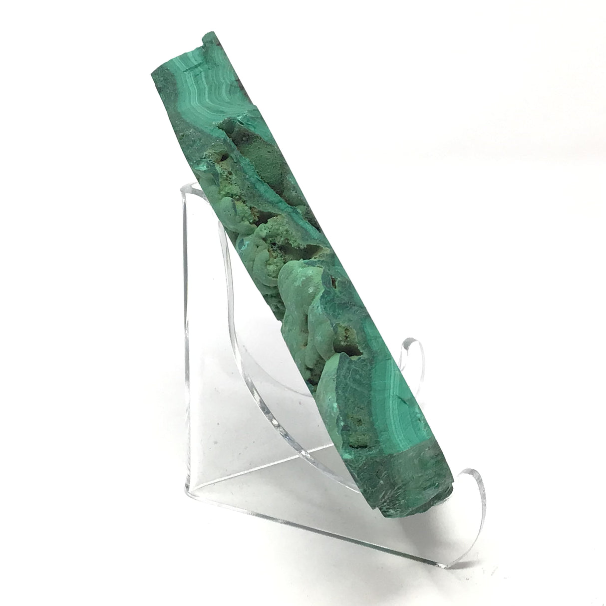 Malachite Botryoidal Slice with Rugged Druze Edges on Lucite Stand
