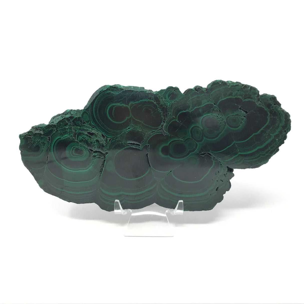 Malachite Botryoidal Slice with Rugged Druze Edges on Lucite Stand