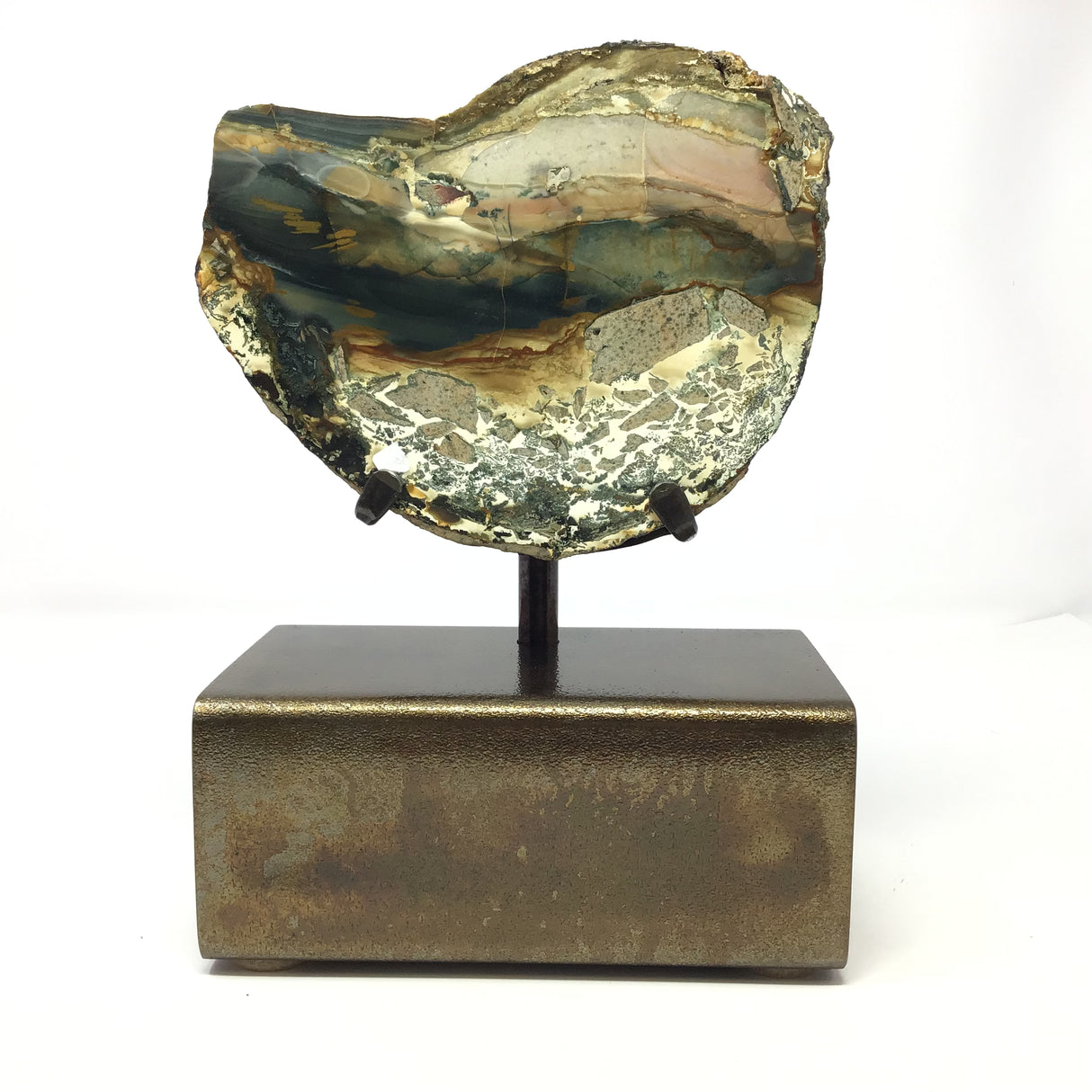 Scenic Blue Mountain Jasper End Cut on Custom Stand - Ammonite Shape