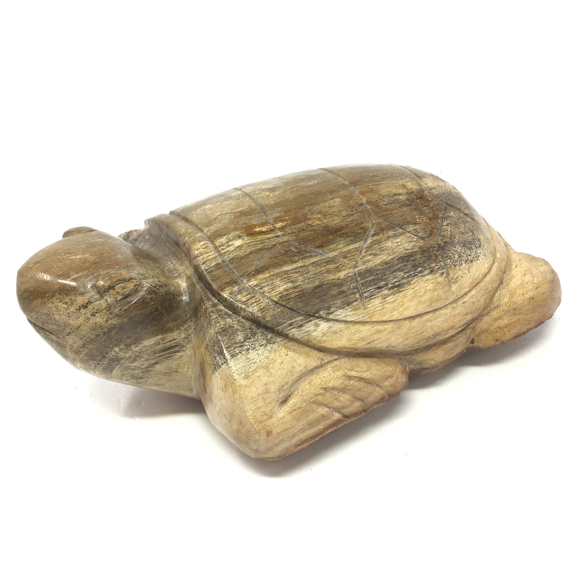 Indonesian Petrified Wood Sea Turtle Carving