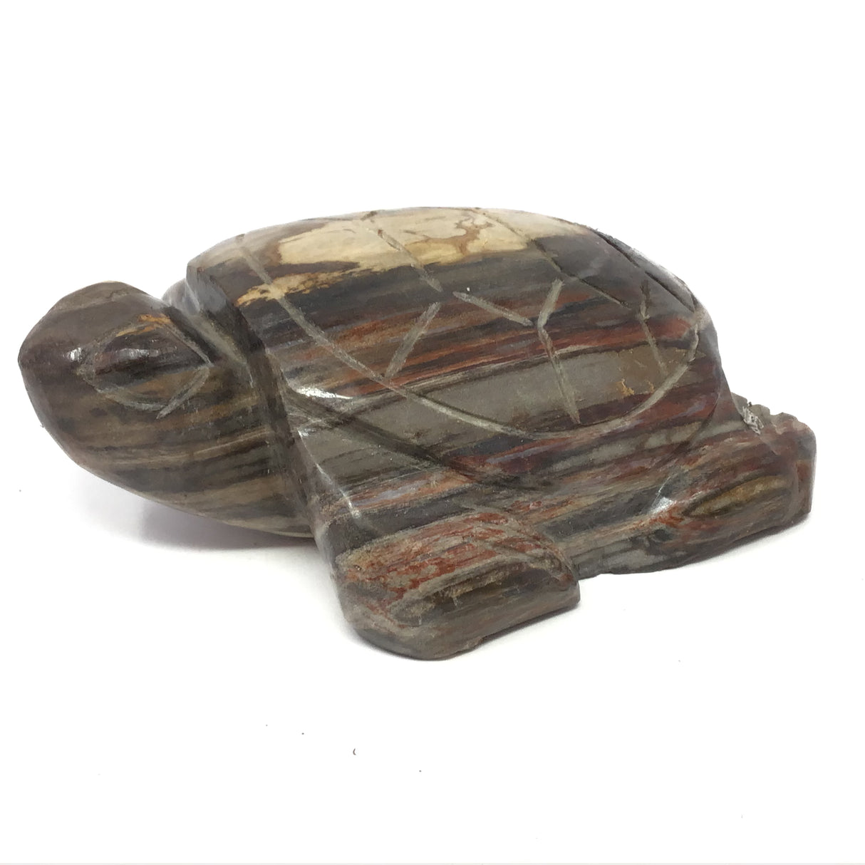 Indonesian Petrified Wood Sea Turtle Carving