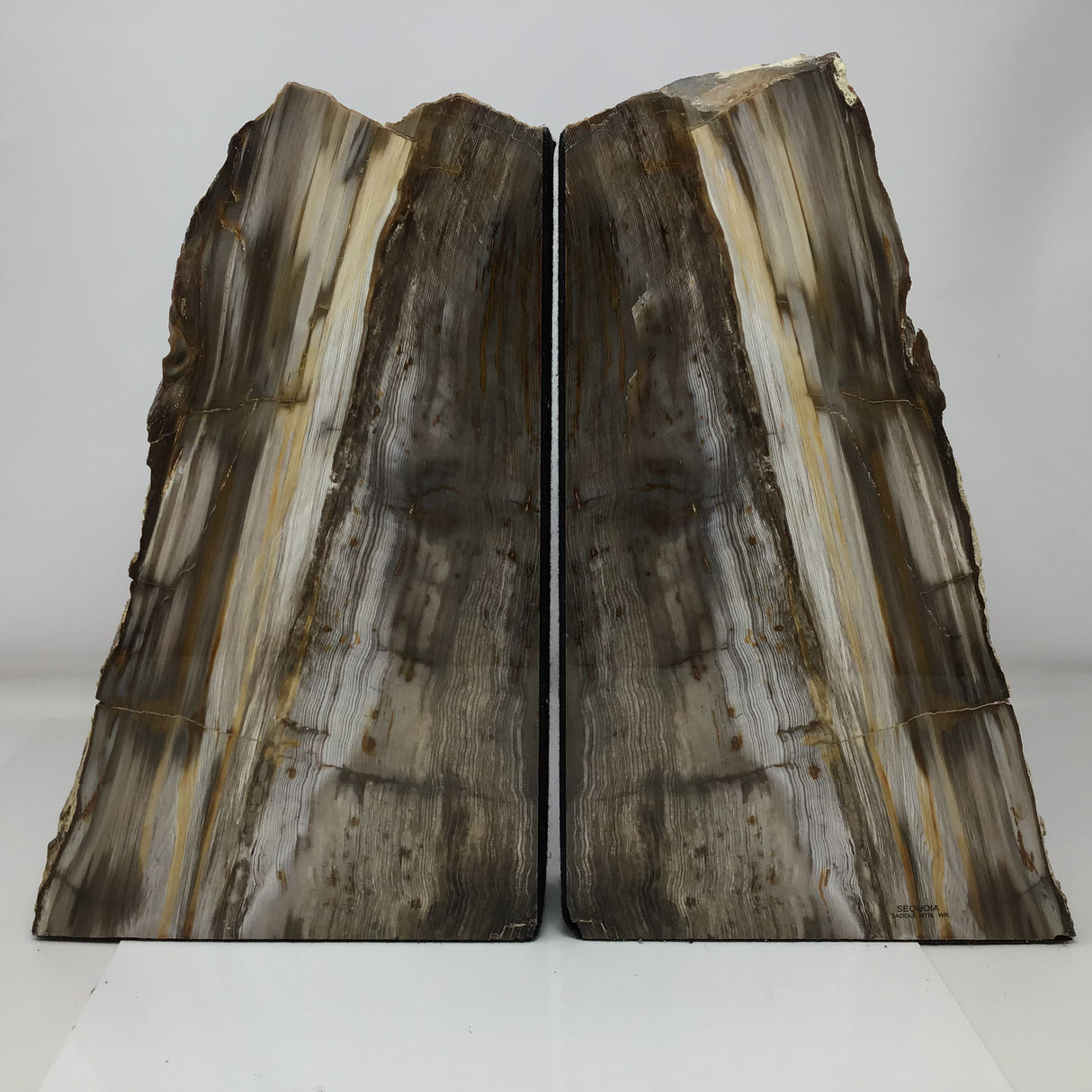 Saddle Mountain Sequoia Petrified Wood Bookends - Browns