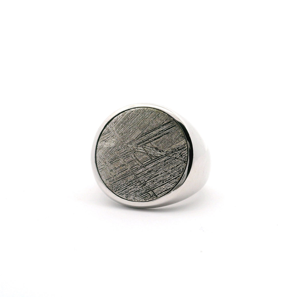 Muonionalusta Meteorite Ring with White Gold Vermeil - Round