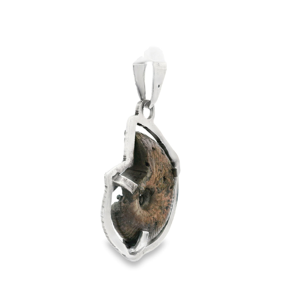 Pyritized Ammonite Fossil Pendant - Prong Set Ammonite Half With Silver Bezel & Druze Vugs