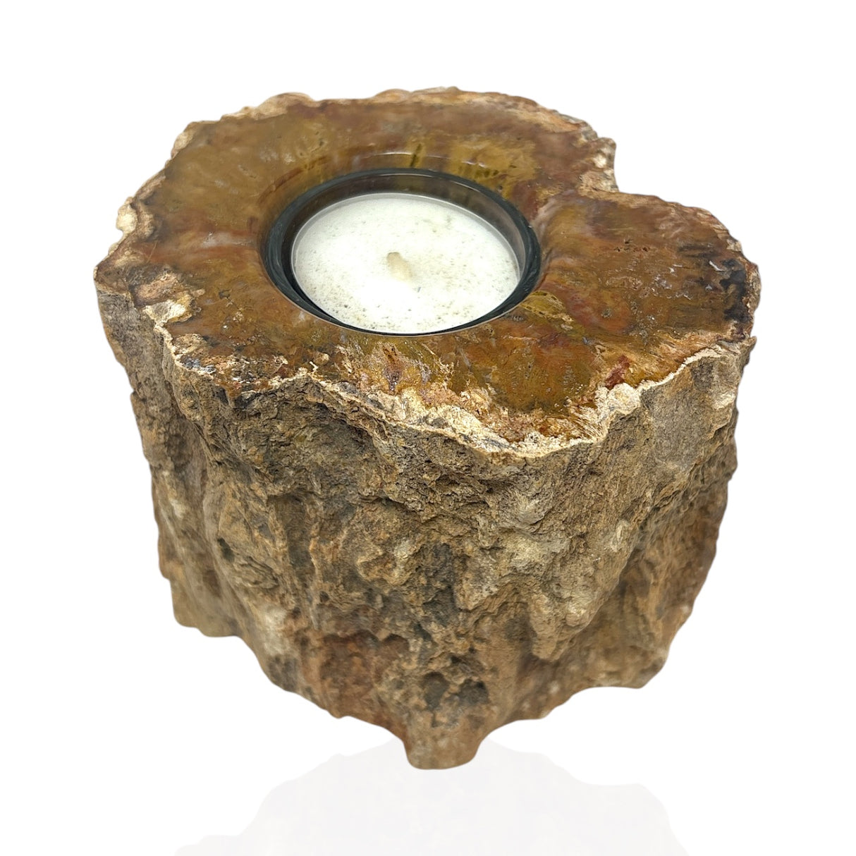 Madagascar Petrified Wood Stump Candle Holder - Single Glass Tealight with Contour Polish