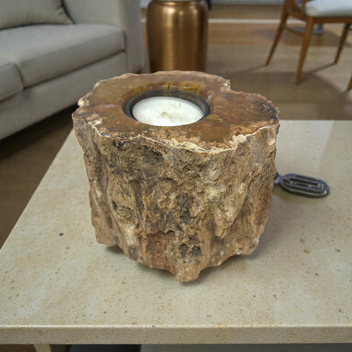 Madagascar Petrified Wood Stump Candle Holder - Single Glass Tealight with Contour Polish