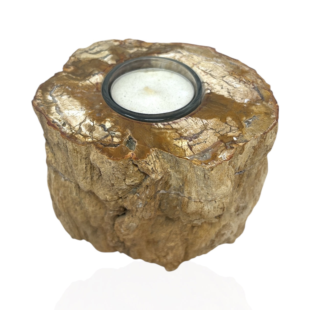 Madagascar Petrified Wood Stump Candle Holder - Single Glass Tealight with Contour Polish