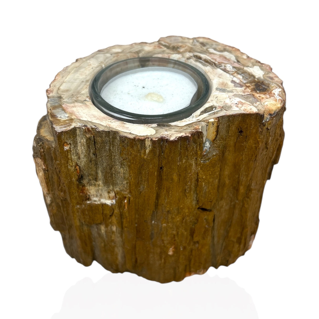 Madagascar Petrified Wood Stump Candle Holder - Single Glass Tealight