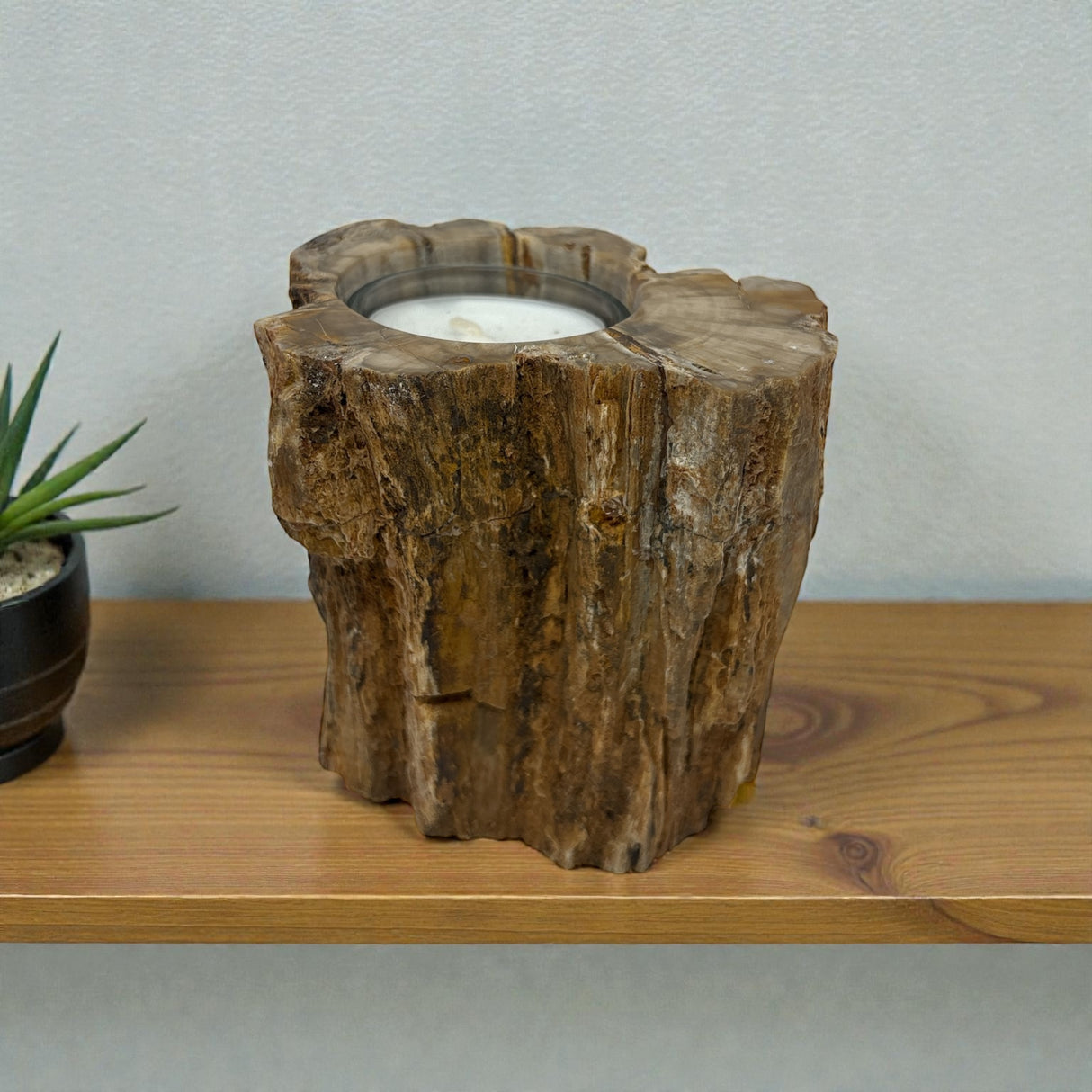 Madagascar Petrified Wood Stump Candle Holder - Single Glass Tealight