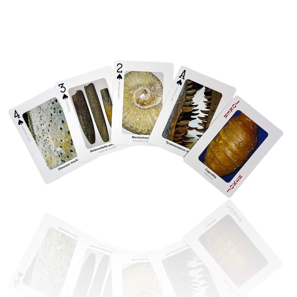 Fossil Playing Cards