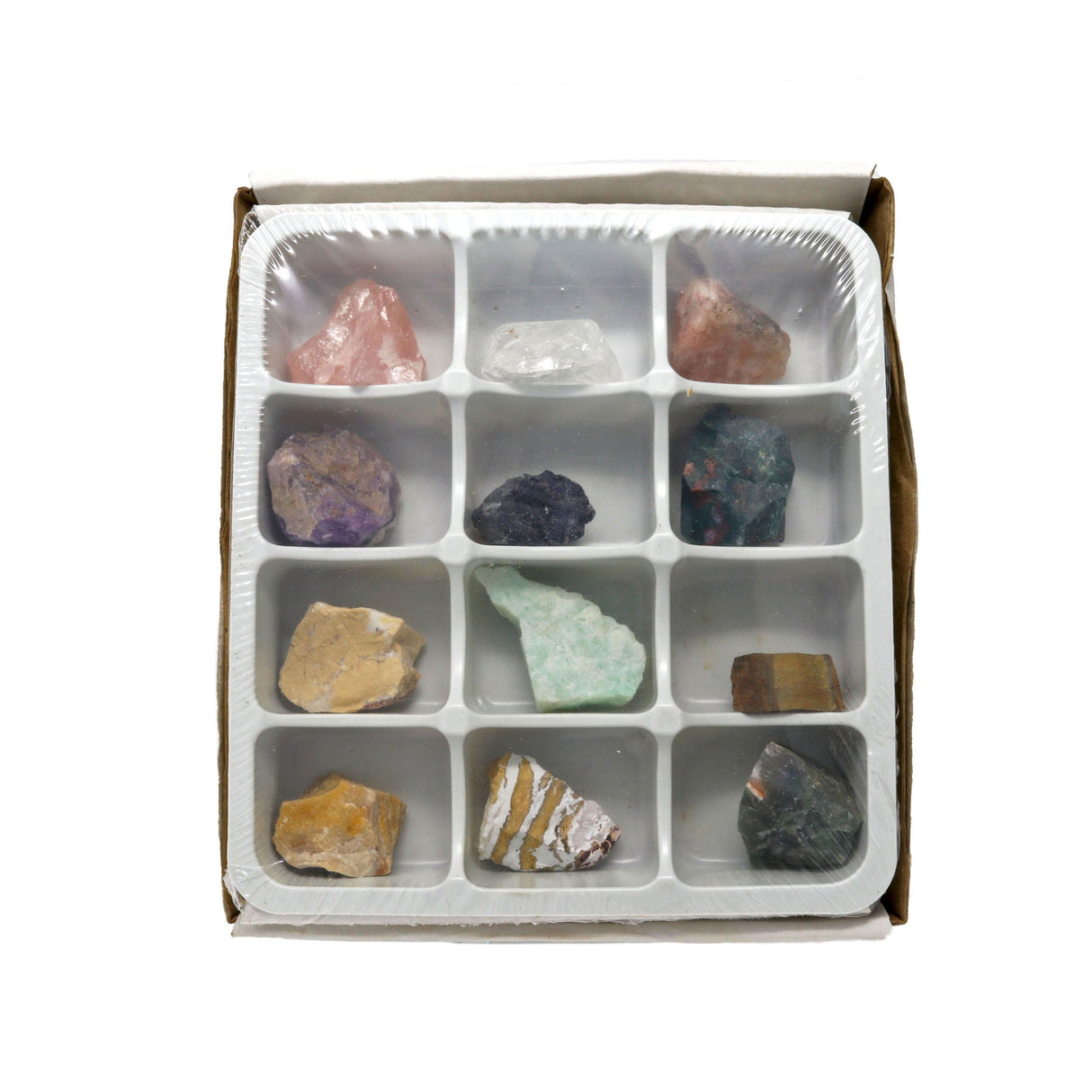 Kids Rock Hounding Starter Kit 12pc