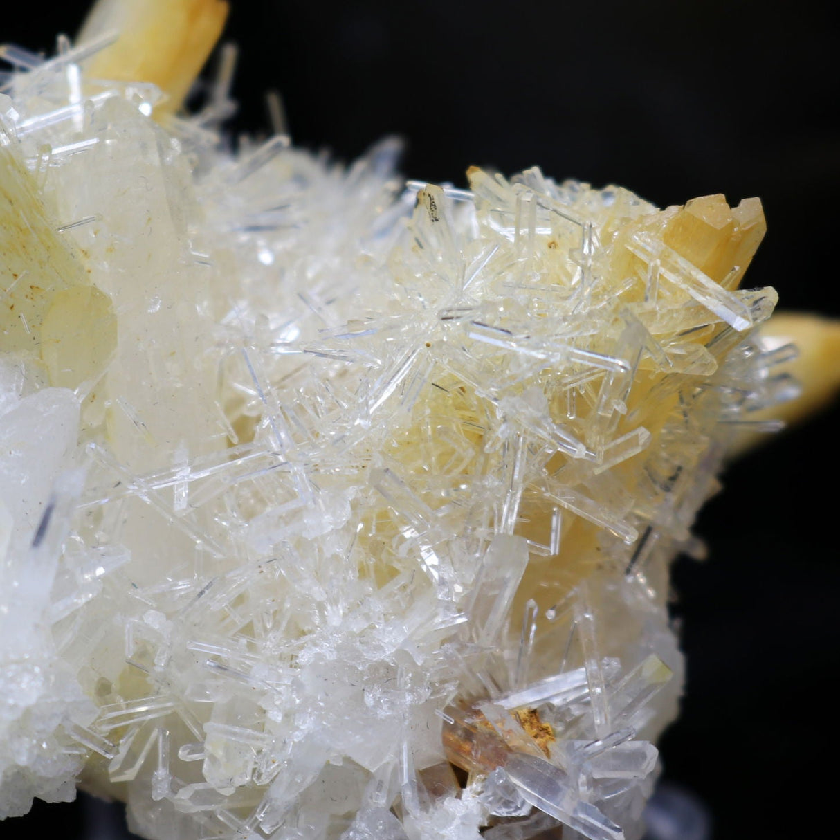Mango Quartz Cluster on Acrylic Stand from Colombia