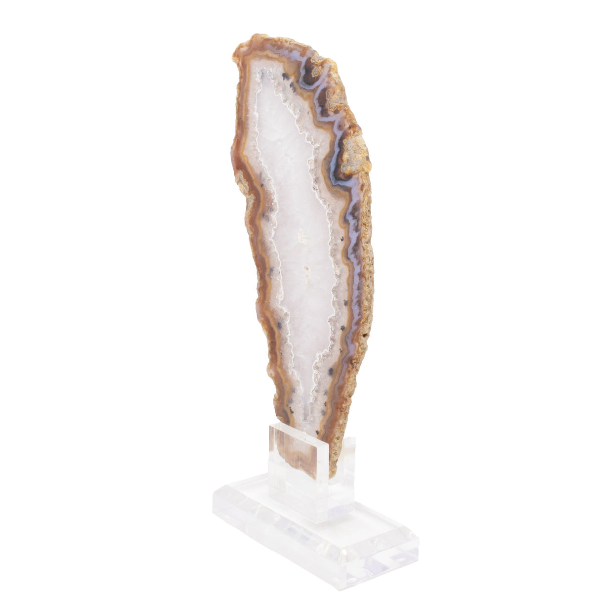 Plume Agate Slice On Acrylic Screw Stand - Periwinkle Band with Quartz Center & Carnelian Edging