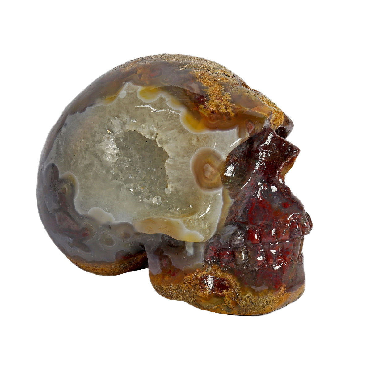 Crazy Lace Agate Skull Medium