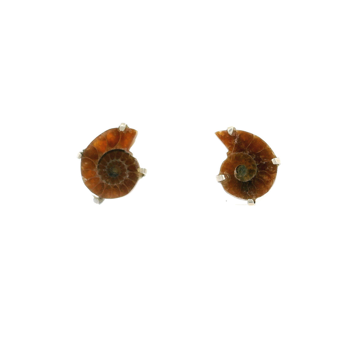 Boucles d'oreilles clous Ammonite - Paire Bébé