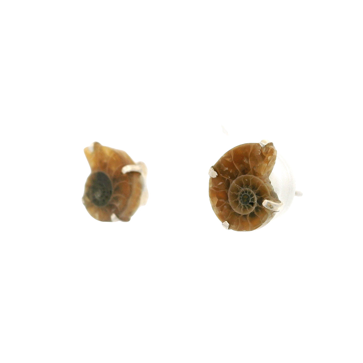 Boucles d'oreilles clous Ammonite - Paire Bébé