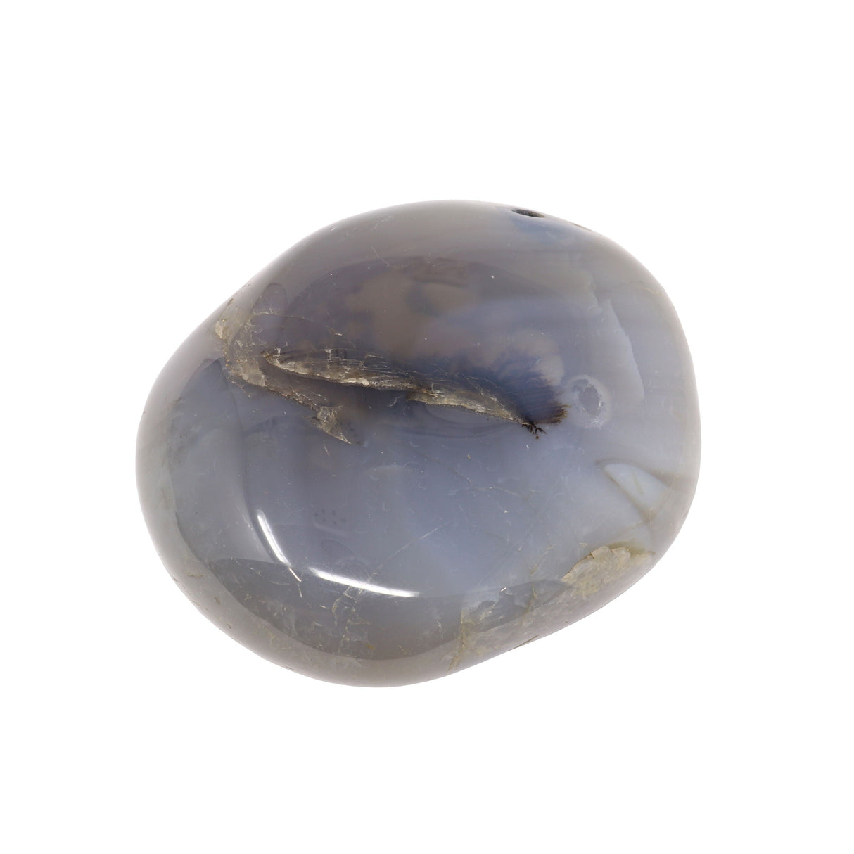 Agate Palm Stone with Dendrite Inclusions