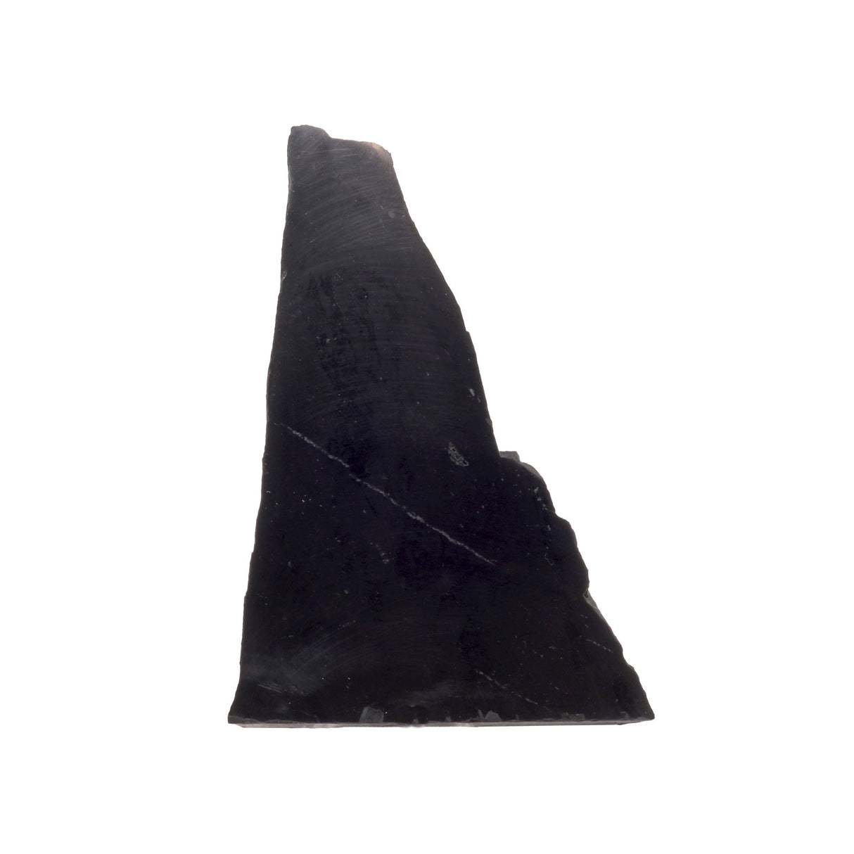Shungite Slice with Polished Side