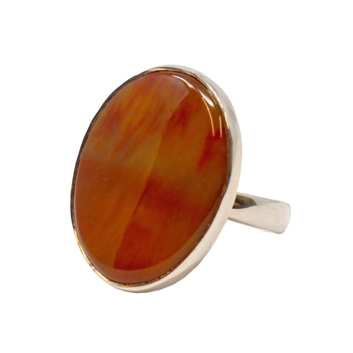 Arizona Petrified Wood Ring - Oval Cabochon with Silver Bezel Sz Adj
