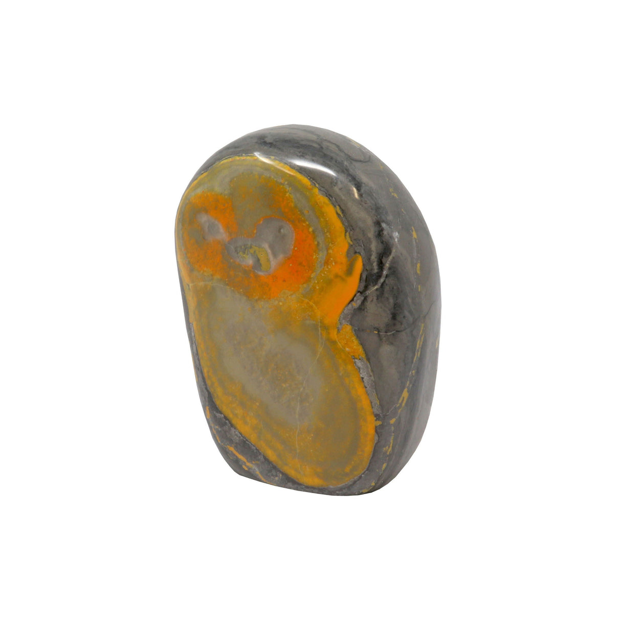 Bumblebee Jasper Freeform Polished Cut Base - Gray Outline with Yellow "Figure Eight" Shape in Center