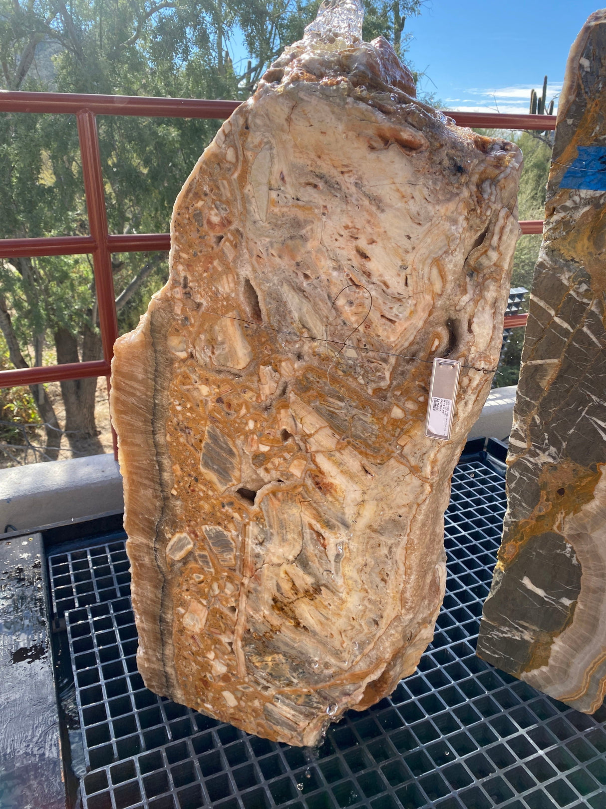 Cafe Amber Fossil Onyx Fountain - Cut Slab