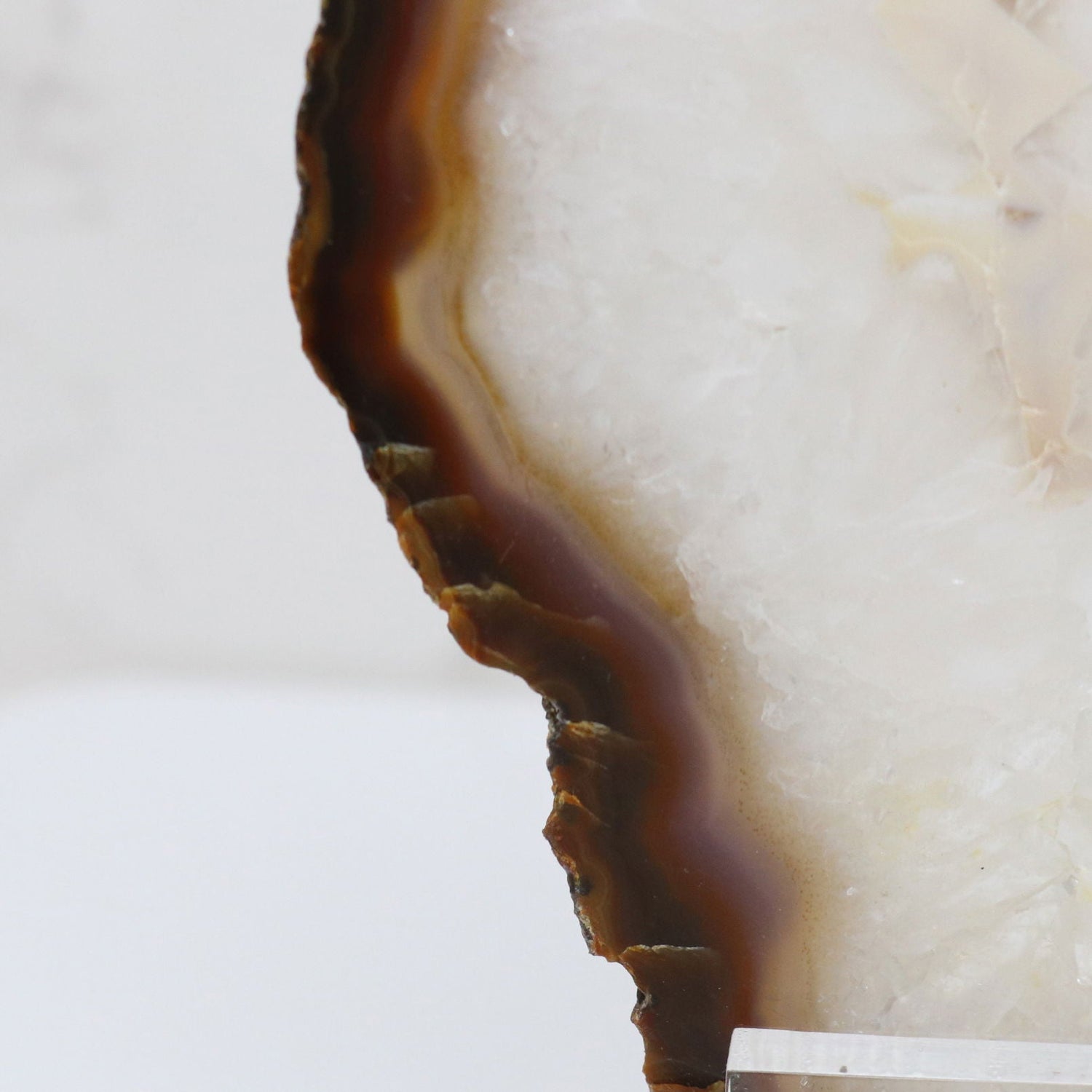 Agate Slice on Screw Stand - Carnelian Exterior Band & Quartz with Off-White Center & Double-Sided Polish