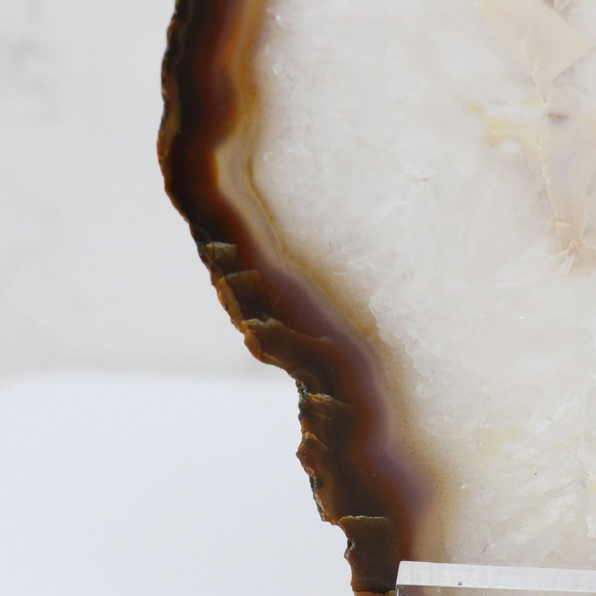 Agate Slice on Screw Stand - Carnelian Exterior Band & Quartz with Off-White Center & Double-Sided Polish