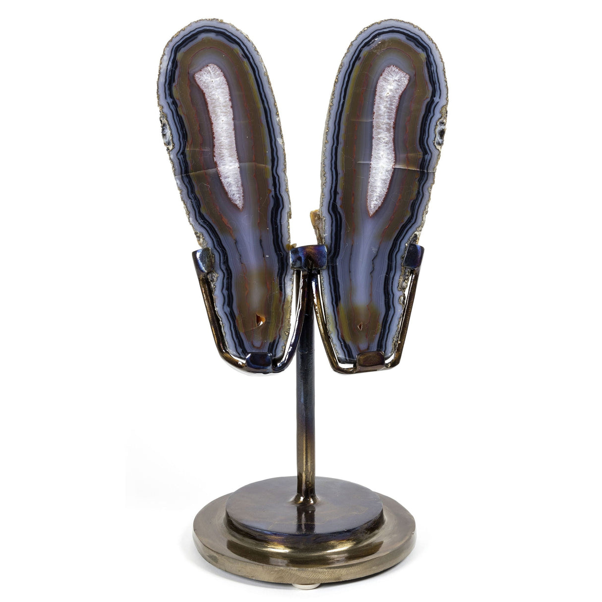 Agate Slice Pair on Custom Metal Stand with Thick Blue Rim and Carnelian Center
