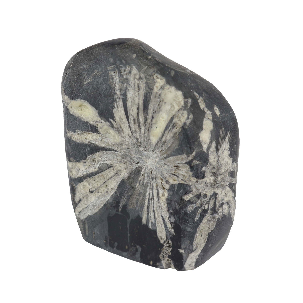 Small Chrysanthemum Stone Cut Base