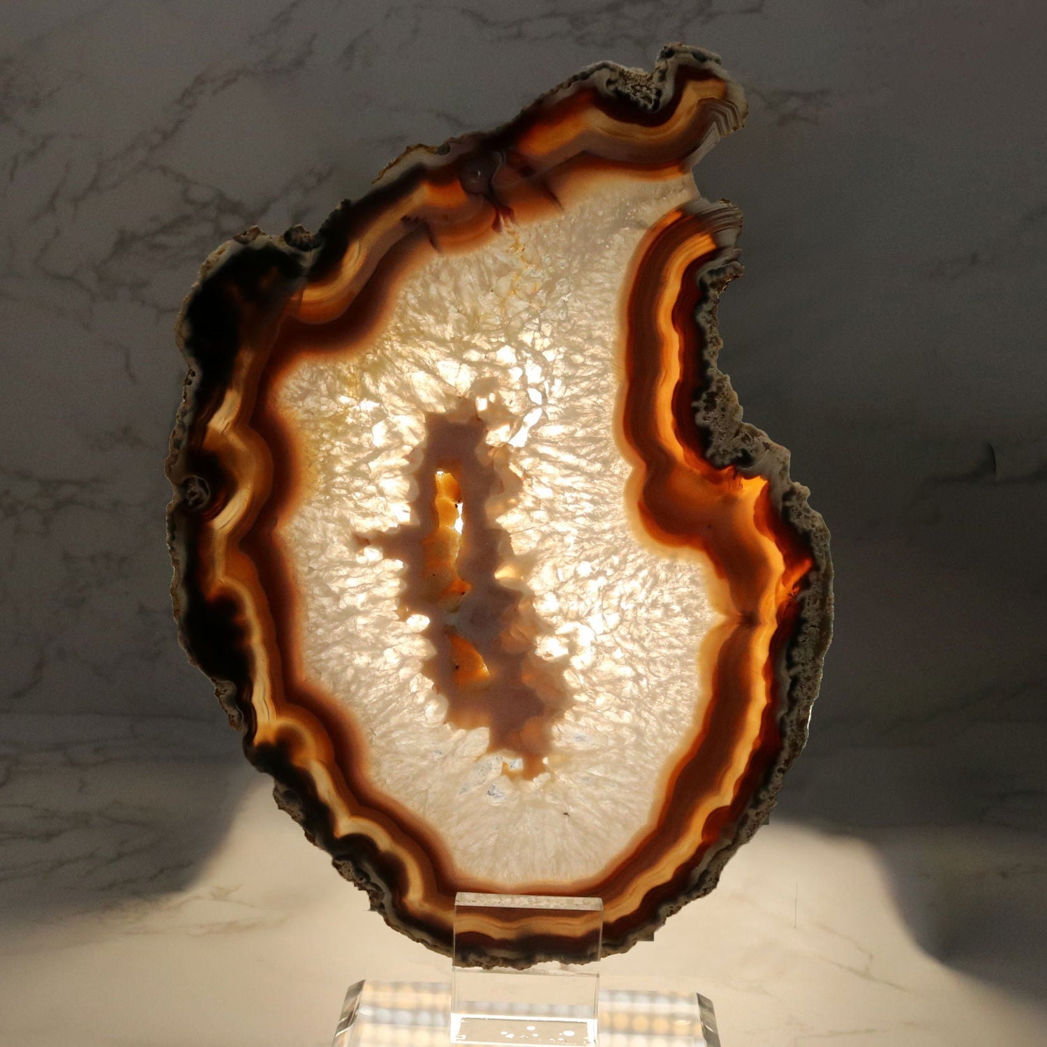 Agate Druze Slice on Screw Stand - Woody Exterior with Unique Shape & Heavy Carnelian Bands with Citrine Druze Center & Double-Sided Polish