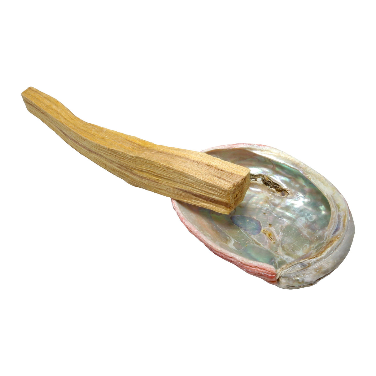 Teal Red Abalone Shell 2" with Palo Santo Stick