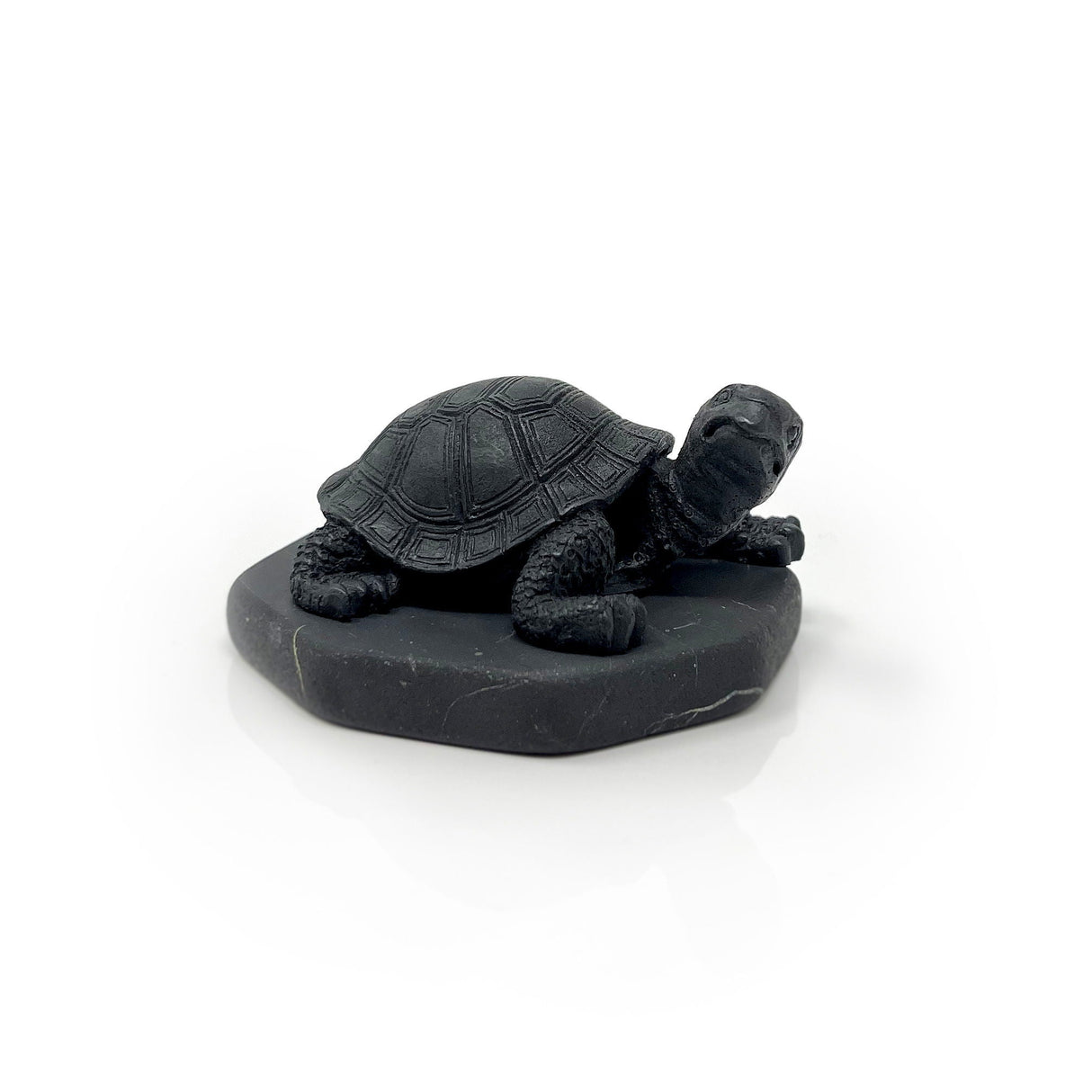Shungite Turtle Figurine - Looking Right on Shungite Hexagonal Base