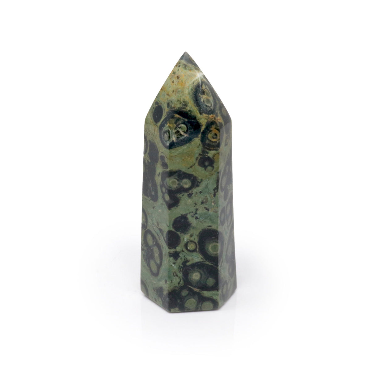 Kambaba Jasper Point Cut & Polished - Yellow Coloring on Point