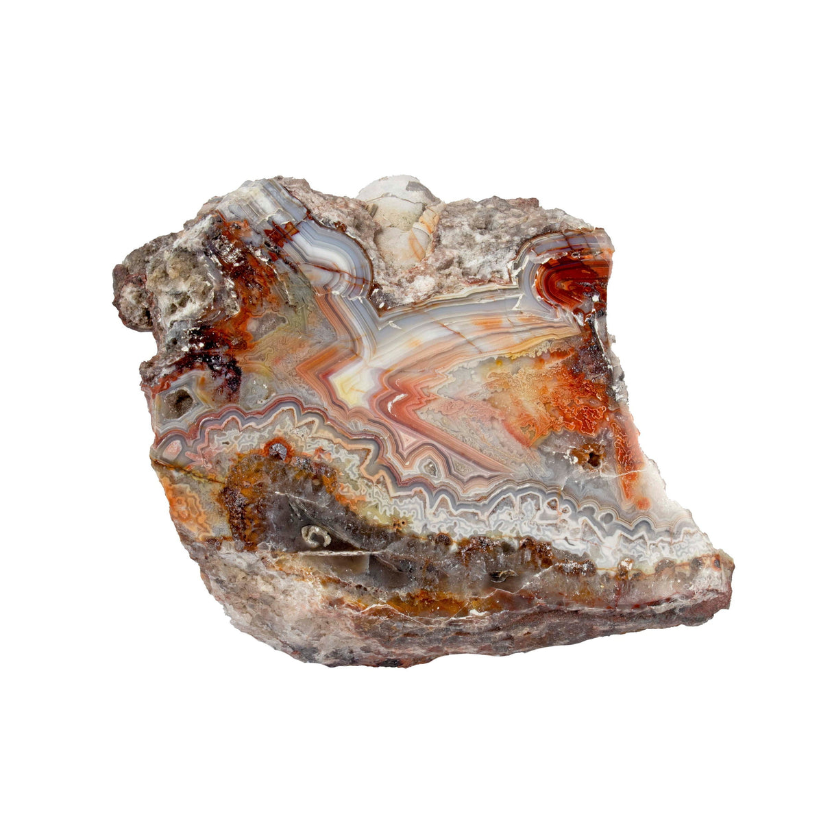 Laguna Lace Agate End Cut on Lucite Stand - Dense Gray Banding