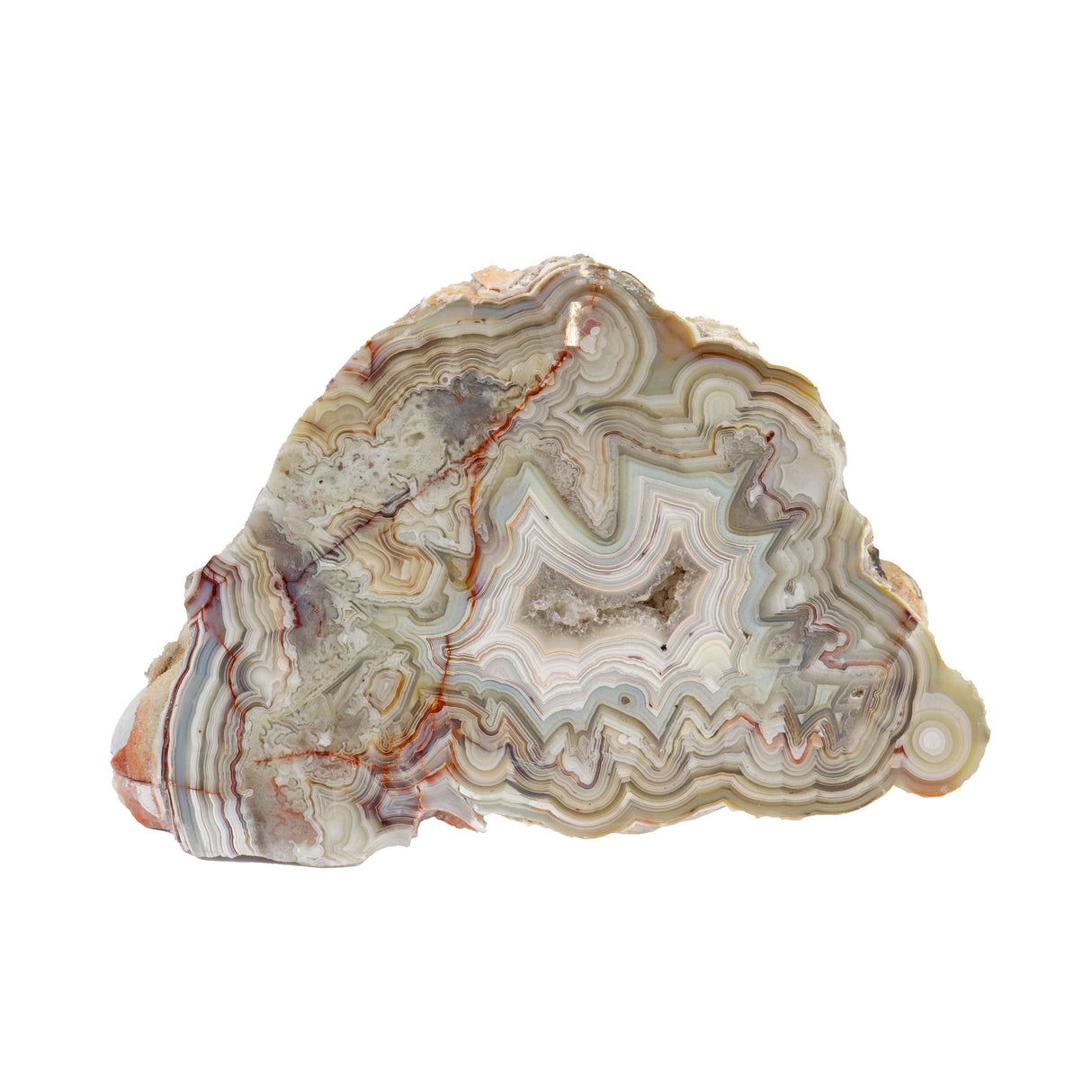Laguna Lace Agate End Cut - Dense Gray and White Banding on Lucite Stand