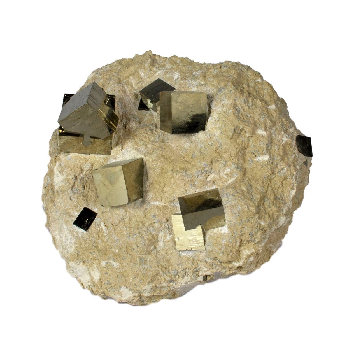 Cubic Pyrite Double Bonded in Matrix on Lucite Stand