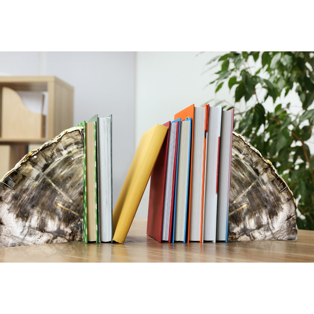 Large Saddle Mountain Washington Petrified Wood Bookends - Sequoia