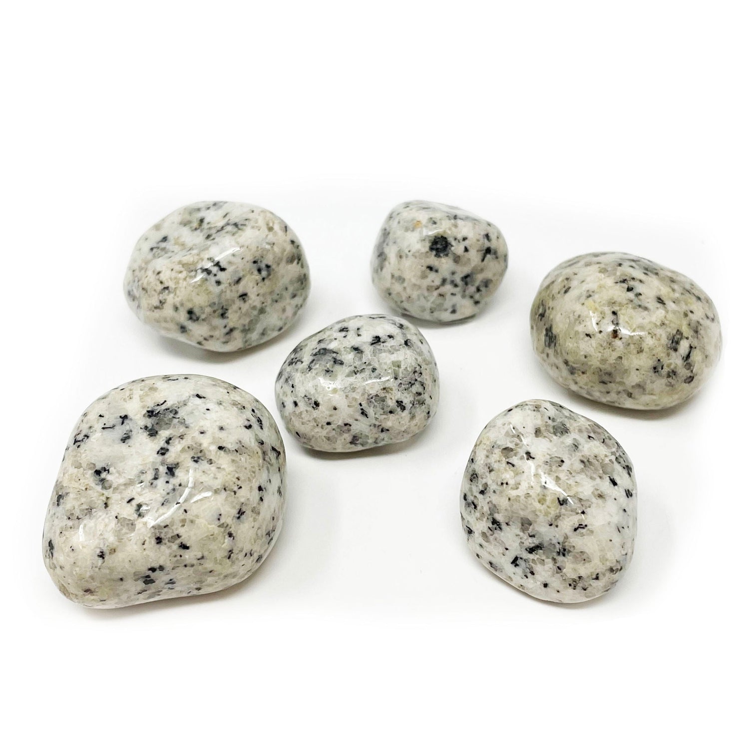Tumbled Dalmatian Jasper (Singles)