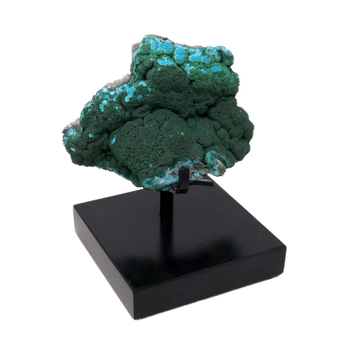 Malachite & Chrysocolla on Custom Stand with Botryoidal Minis