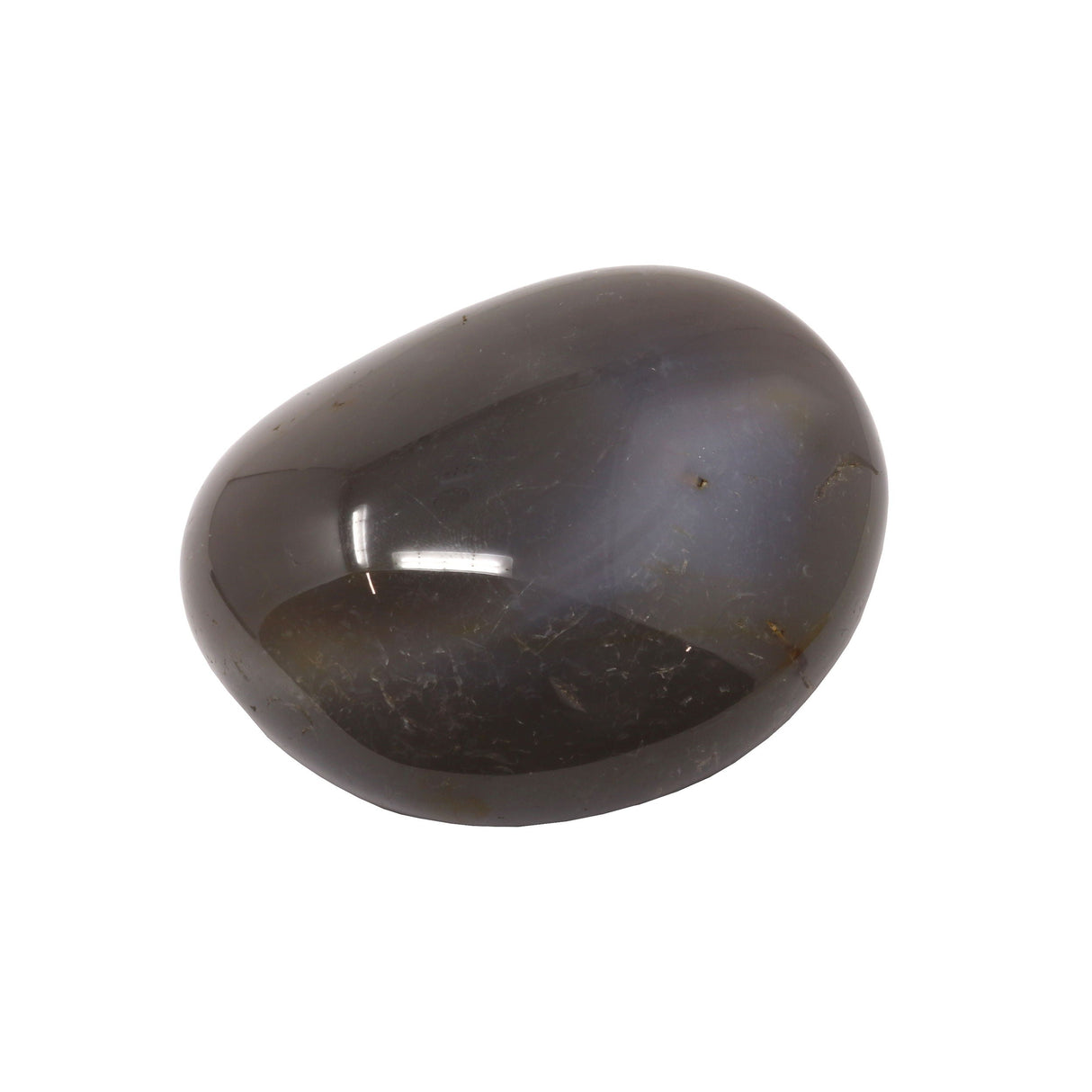 Agate Palm Stone with Bluish Hue