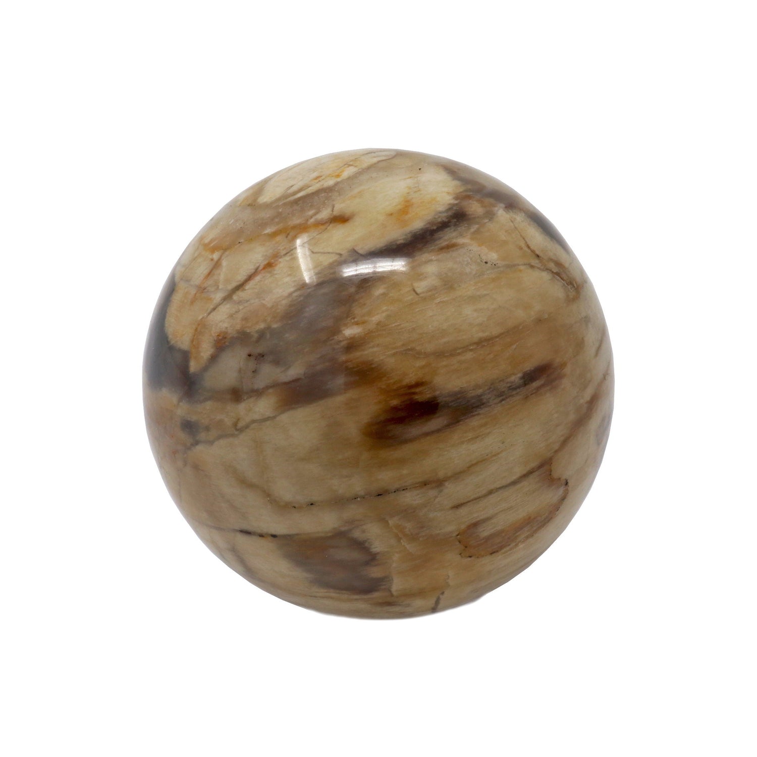 Madagascar Petrified Wood Sphere - 40mm With Lucite Stand
