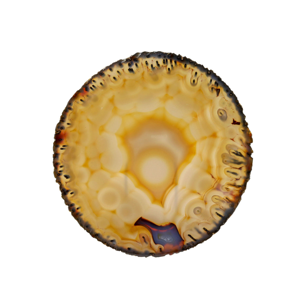 Thin Agate Slice -Round Multicolored with Micro Tubular Rim & Botrioydal Pattern on Lucite Easel Stand