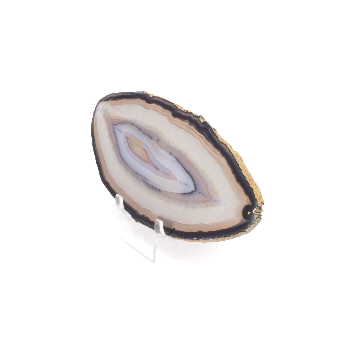 Agate Slice On Lucite Stand