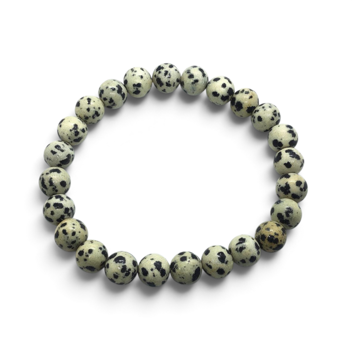 Rare Earth Gallery 8mm round Dalmatian Jasper beaded bracelet with natural cream and black spotted stone pattern