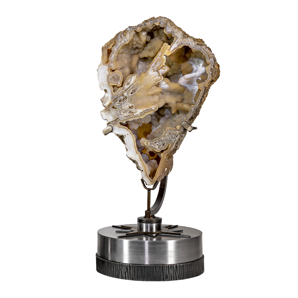 Agatized Fossilized Coral Head Half in Custom Starburst Stand