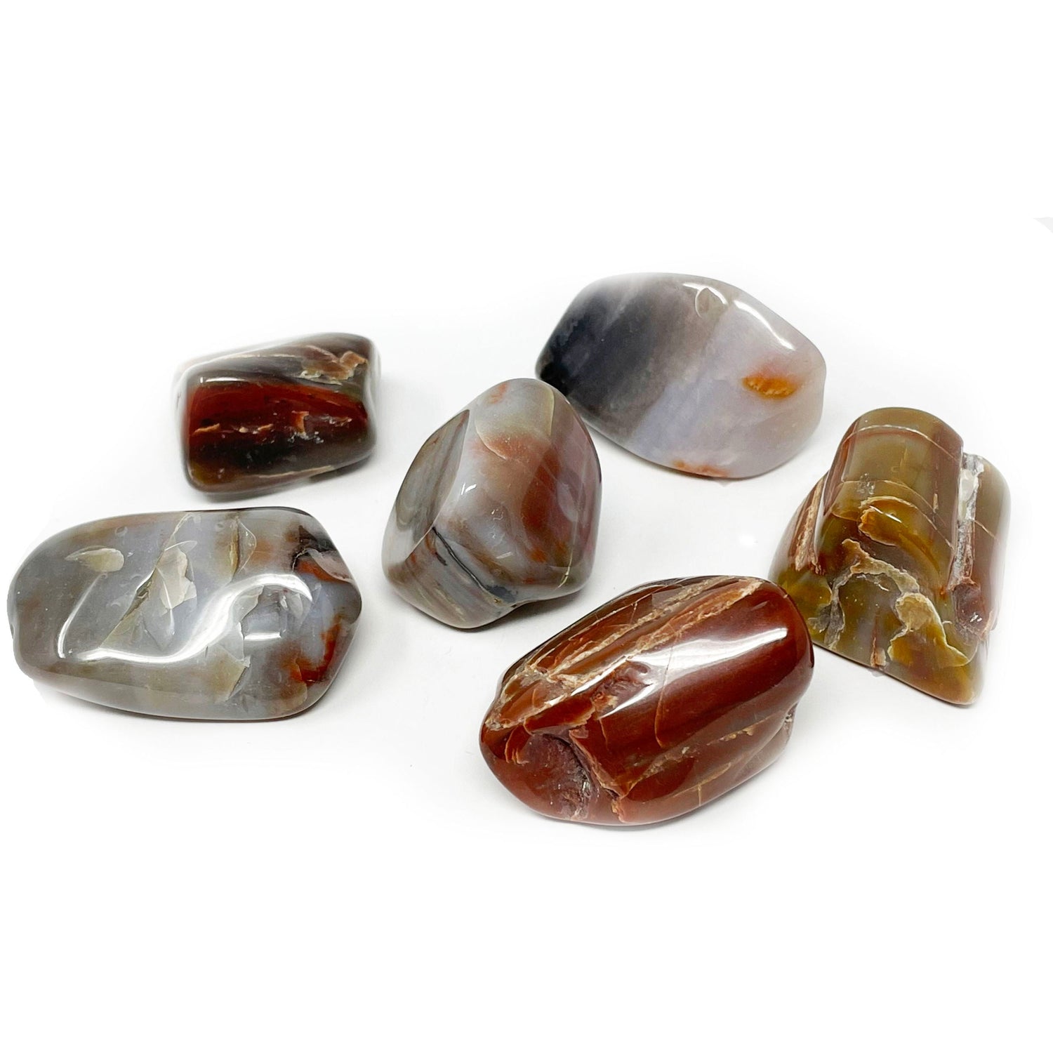 Arizona Petrified Wood Tumbled (Singles)