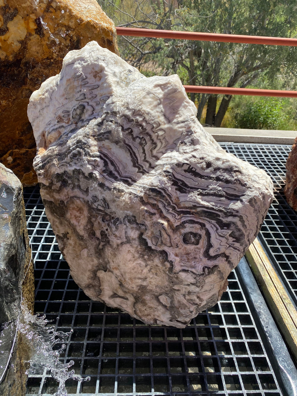 Fountain Yellow Zebra Onyx Boulder with Red ***NO Basin