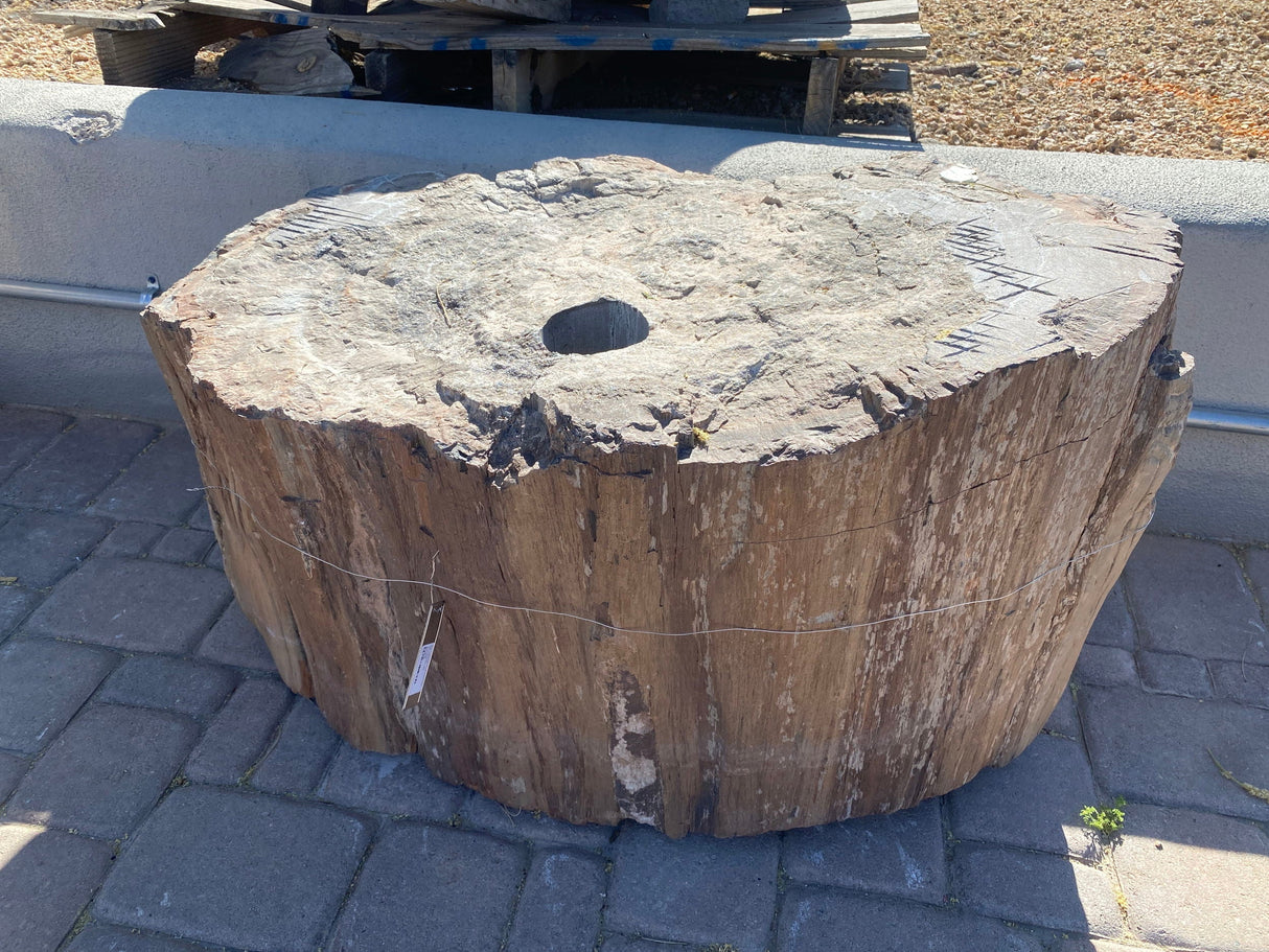 Arizona Petrified Wood Log Fountain (Large Hole)